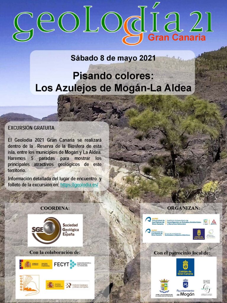 Cartel de Gran Canaria 2021