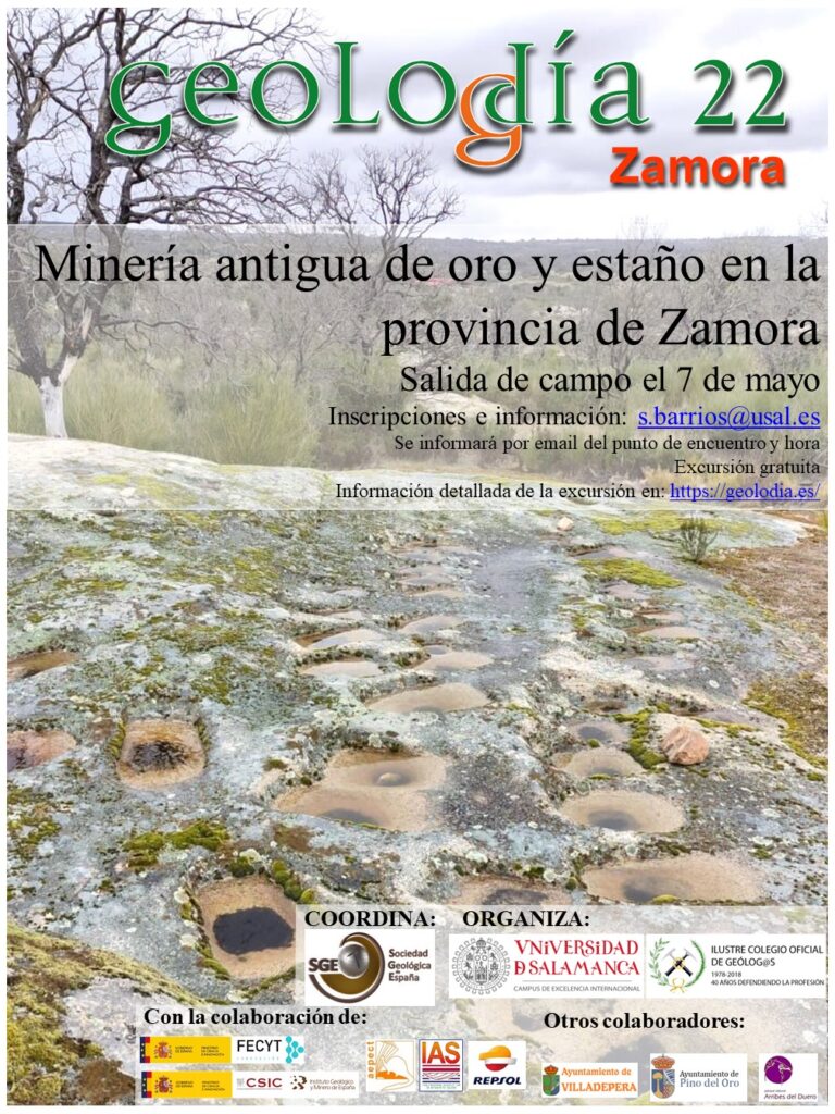 Cartel de Zamora 2022