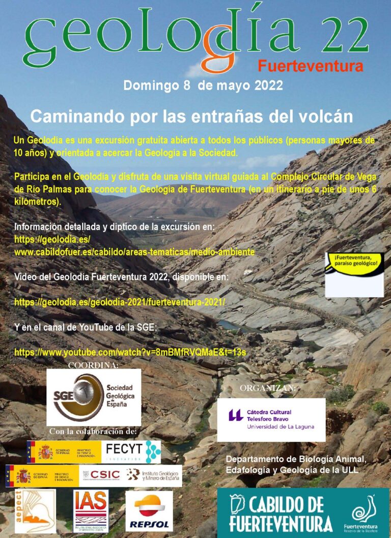 Cartel de Fuerteventura 2022