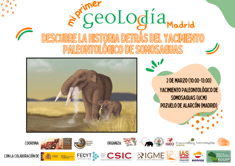 Cartel de Madrid 2024