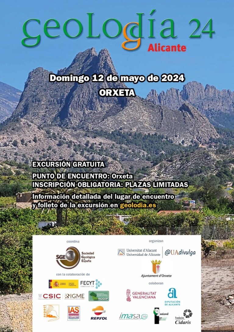 Cartel de Alicante 2024