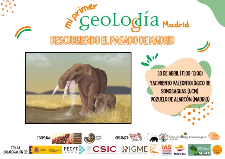 Cartel de Madrid 2025