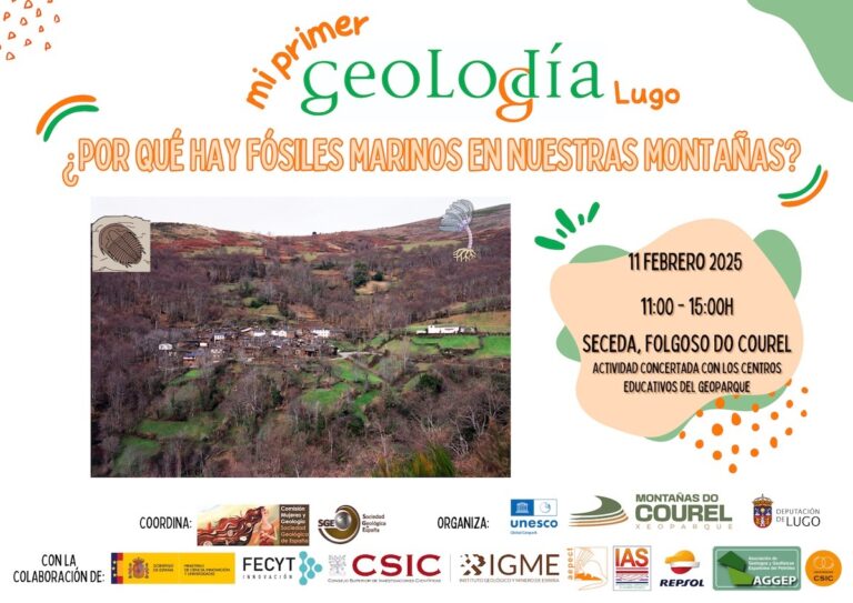 Cartel de Lugo 2025
