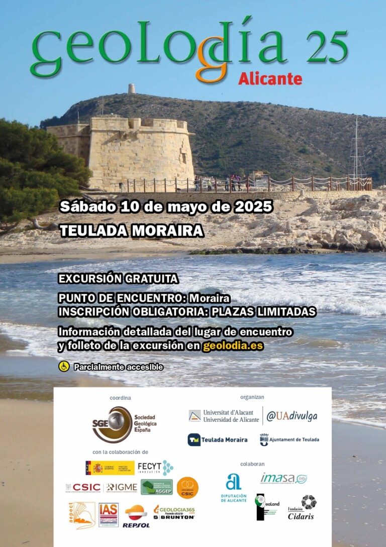 Cartel de Alicante 2025
