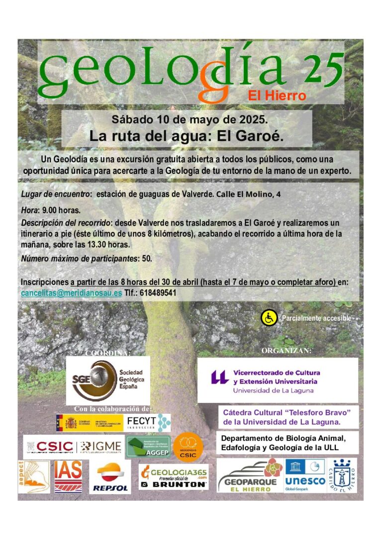 Cartel de El Hierro 2025
