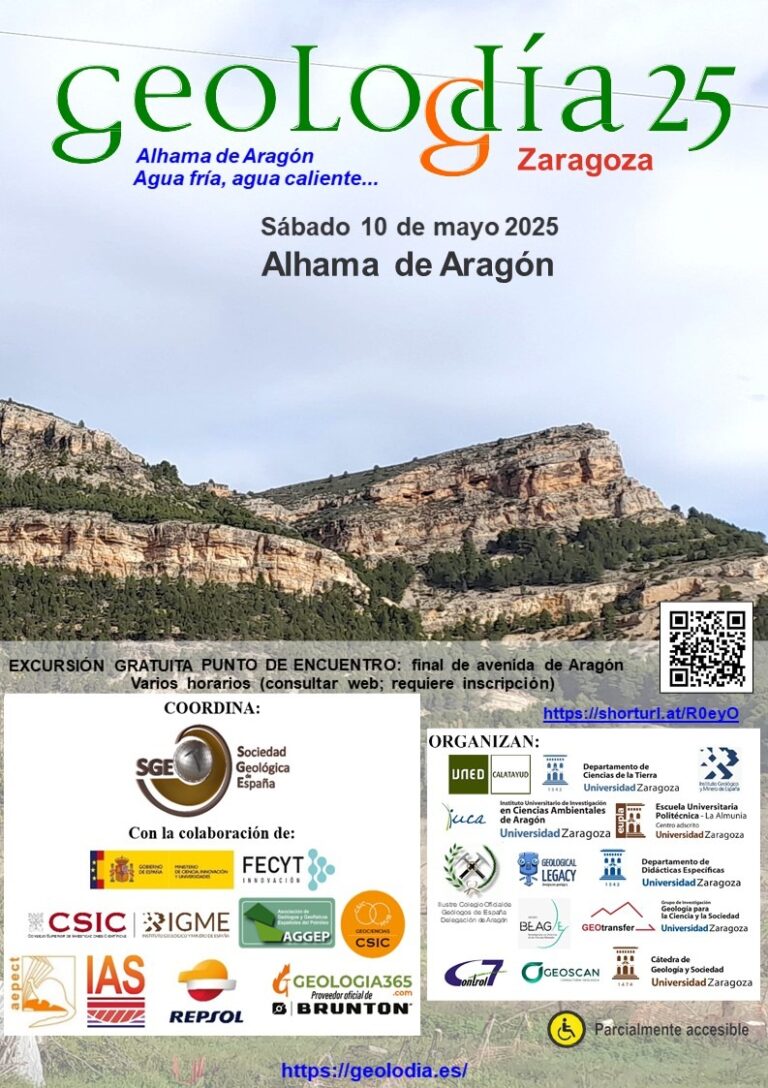 Cartel de Zaragoza 2025