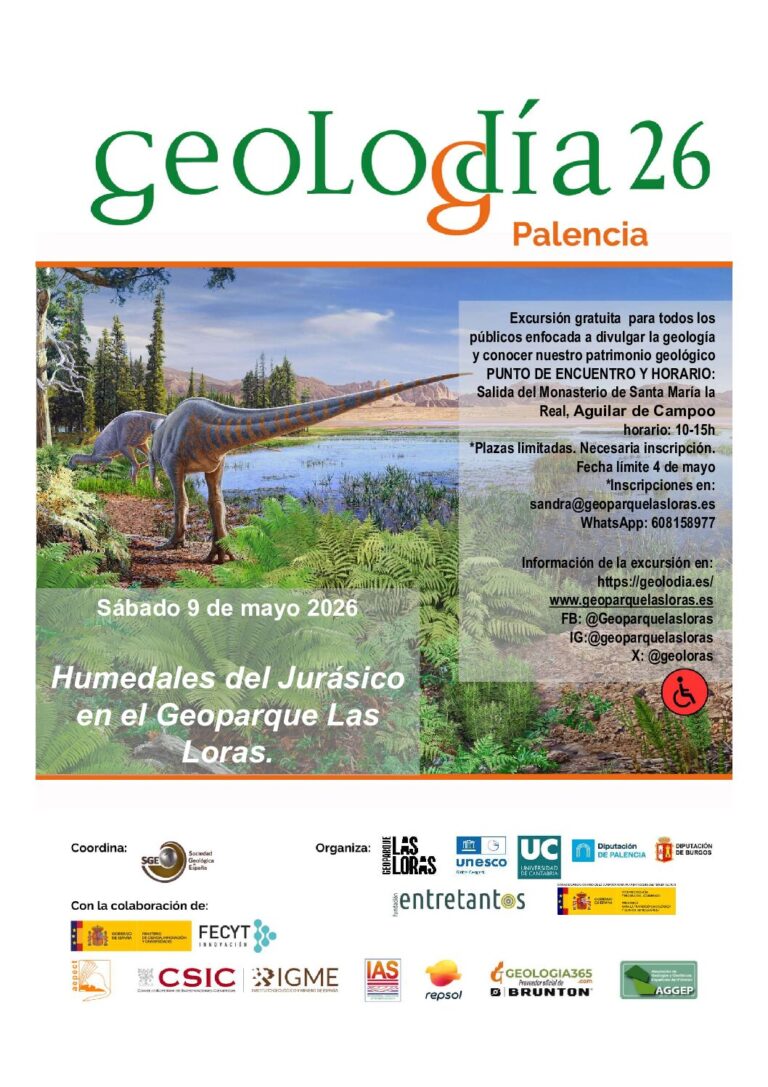 Cartel de Palencia 2026